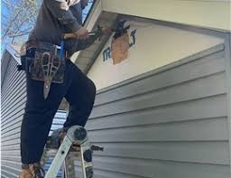 Best Siding Painting and Refinishing  in Winchester, IL